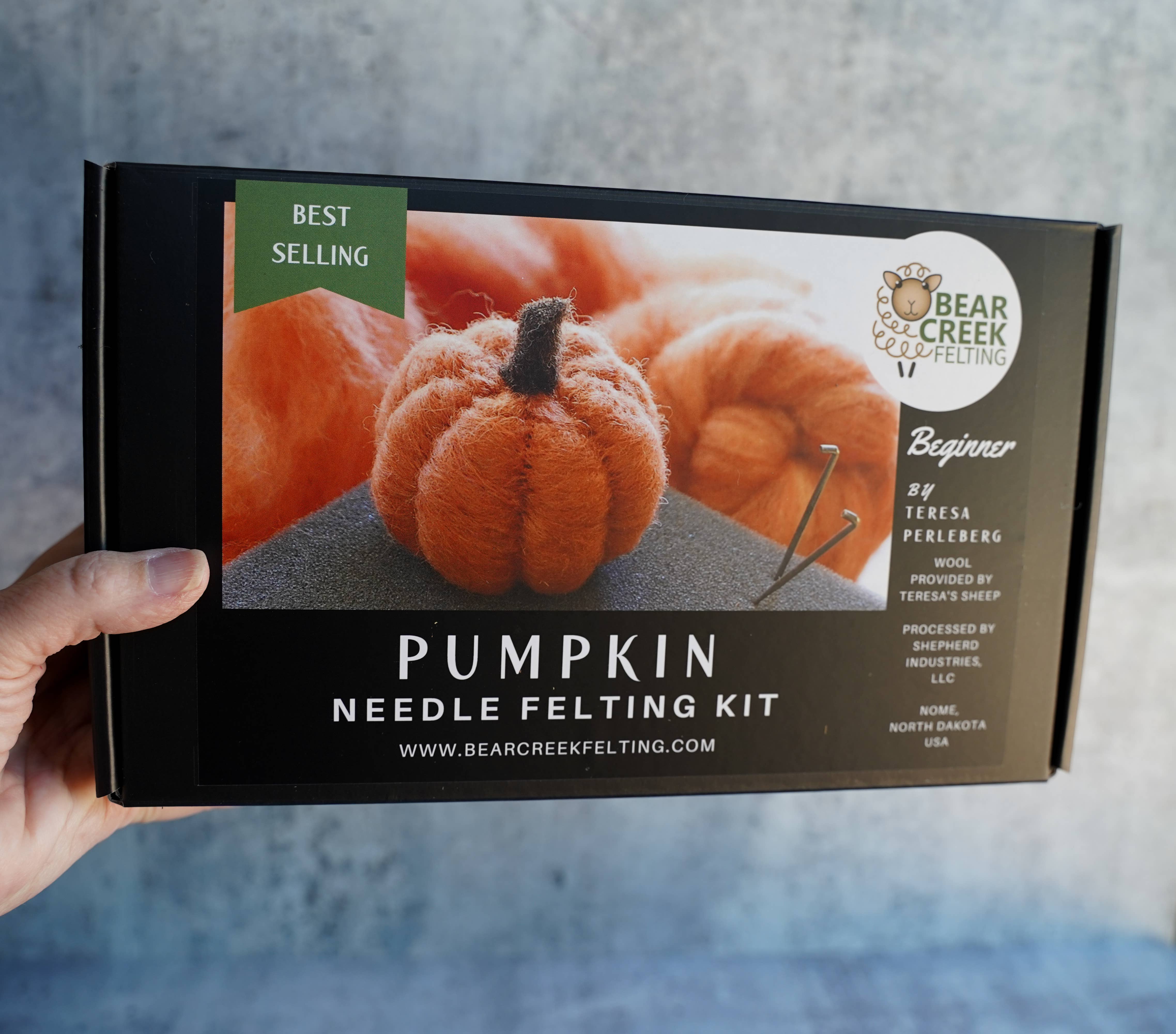 Bear Creek Felting - Vente Kit de bricolage - Kit débutant de feutrage à l'aiguille citrouille1