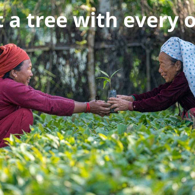 Glorioso Super Nutrients – Großhandel Protein-/Superfood-Pulver – Glorioso Super Nutrients Veganes Erdbeerprotein 400 g2