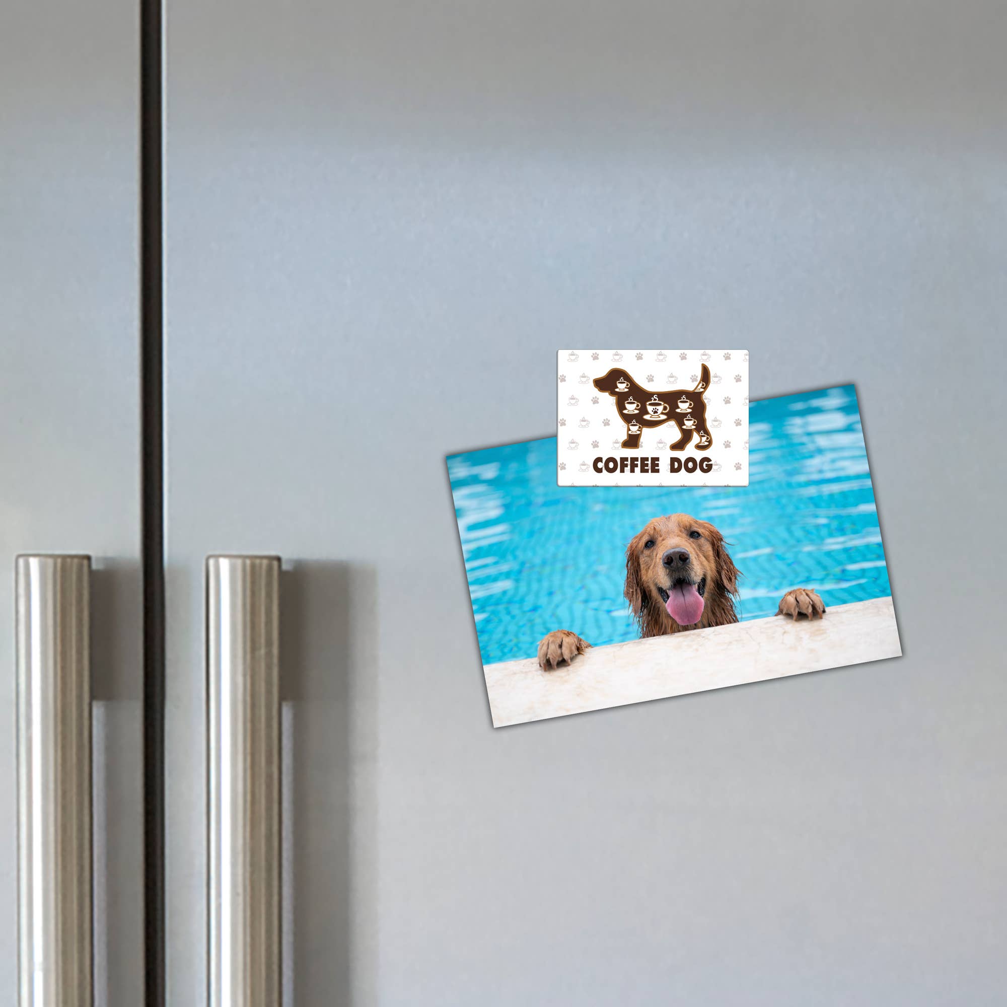 Dog Speak - Wholesale Magneet - Assortiment voor honden met rechthoekige magneten met zilveren display3