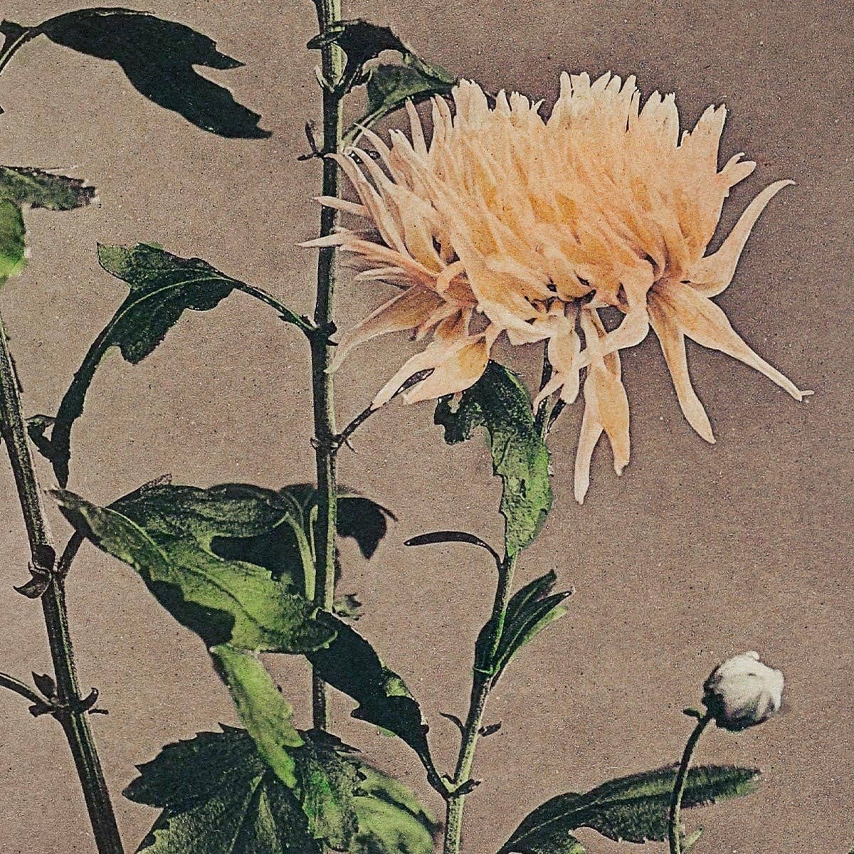 Rock Paper Scissors Wall Art - Venta al por mayor Ilustración - Kin-sui-ro de Ogawa Kazumasa2