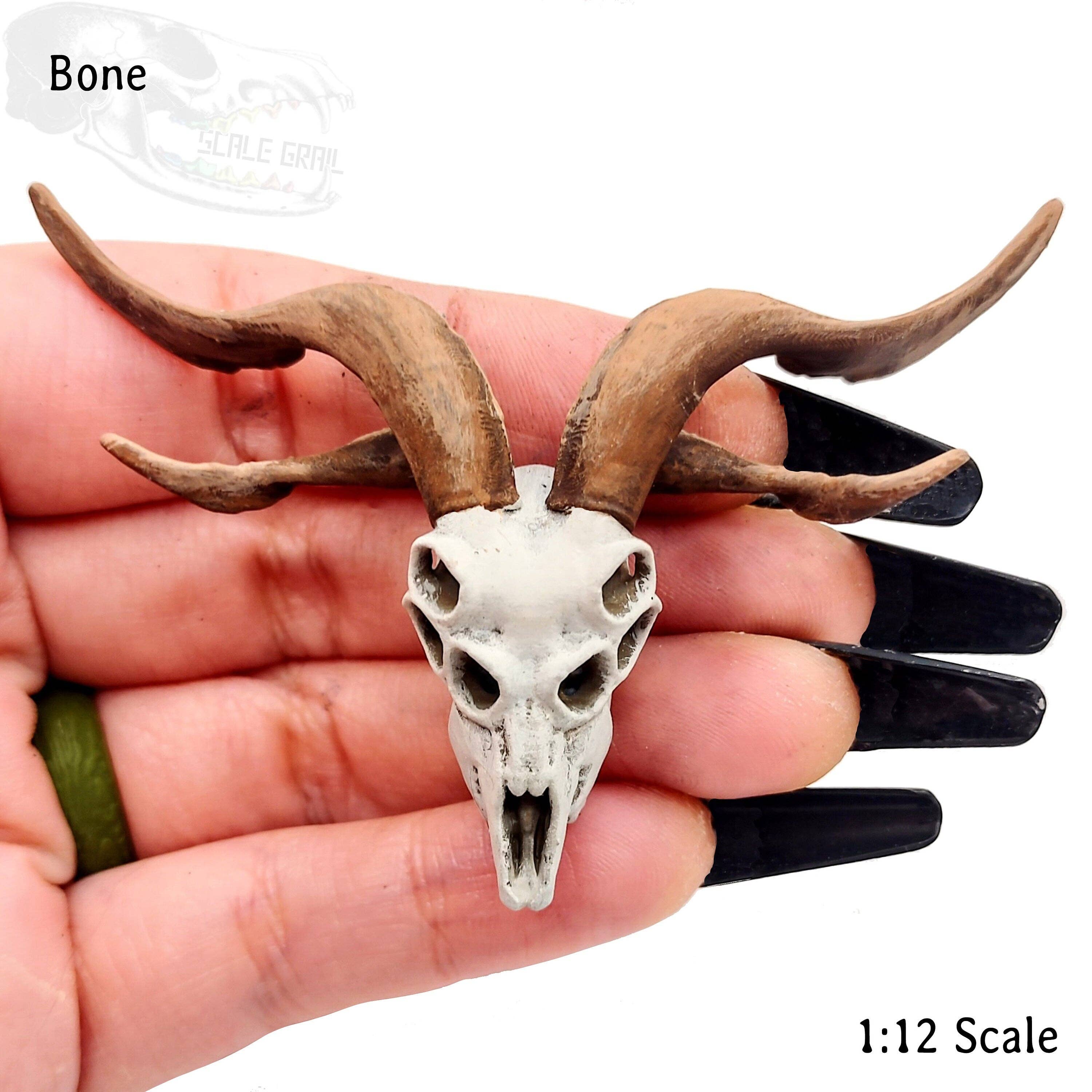 Wholesale Demon Goat Skull - 1:12 scale miniature cranium