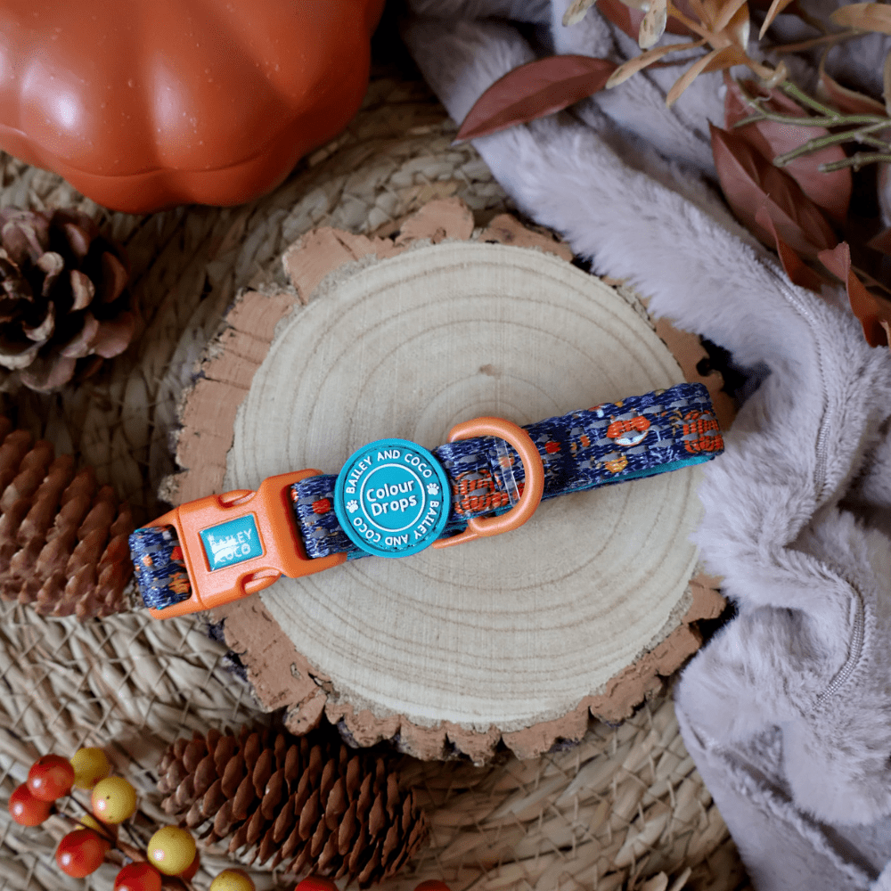 Bailey and Coco – wholesale Pet collar – Dog – Trail & Glow® Adjustable Collar - COLOUR DROPS® - Bewitched4