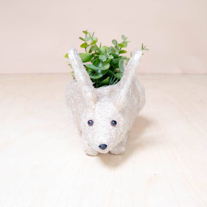 LIKHÂ - Wholesale Plant Pot - Baby Bunny - Coco Coir Pots | LIKHÂ1
