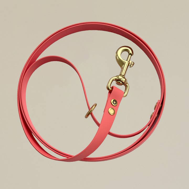 GULA DOG CARE – Großhandel Leine – Hund – GULA Biothane Hundeleine 170 cm1