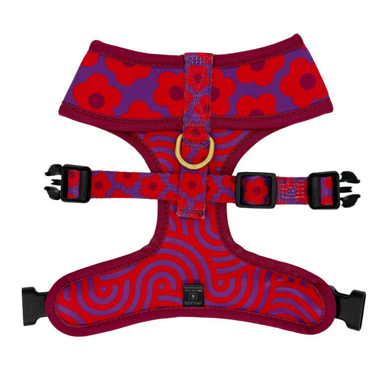 Molly & Co. - Venta al por mayor Arnés - Perros - Mon Chéri - Arnés Reversible para Perros6