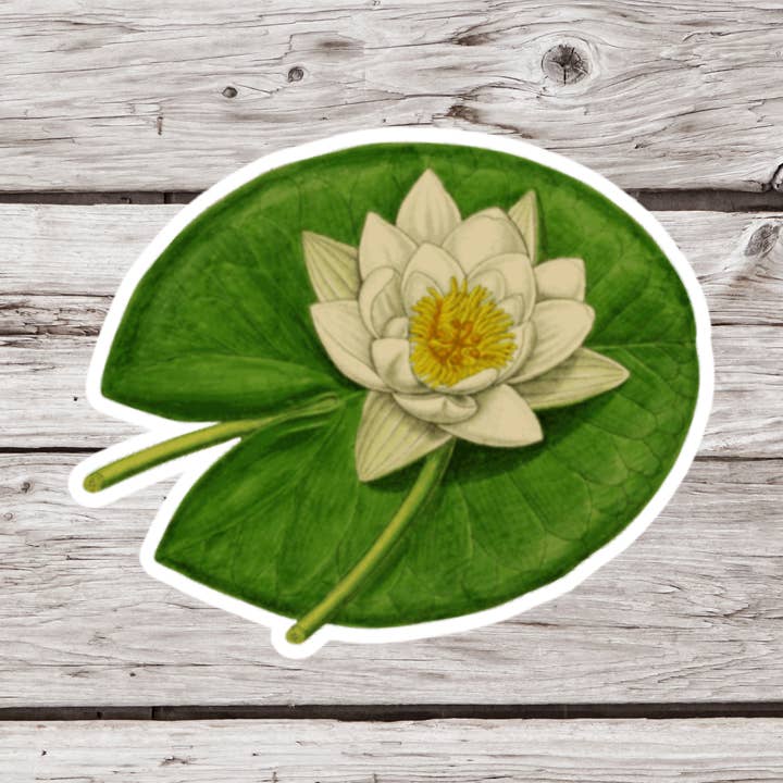 NatureCuts - Wholesale Sticker - Lily Pad Sticker, Water Lily Sticker, Botanical Sticker0