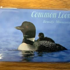 Vanlig Loon bildmagnet för wholesale av Lumberjack Shack, LLC