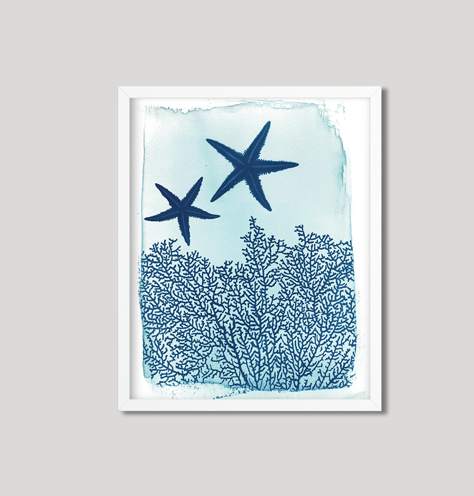 Salty INKS – wholesale Art print – Starfish + Sea Fan •  Fine Art Print  0