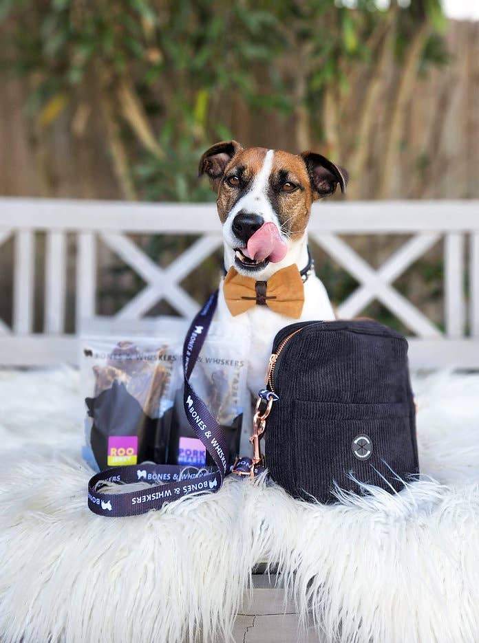 Bones & Whiskers - Wholesale Pet treat pouch – Cat/dog - Travel Pet Pouch3