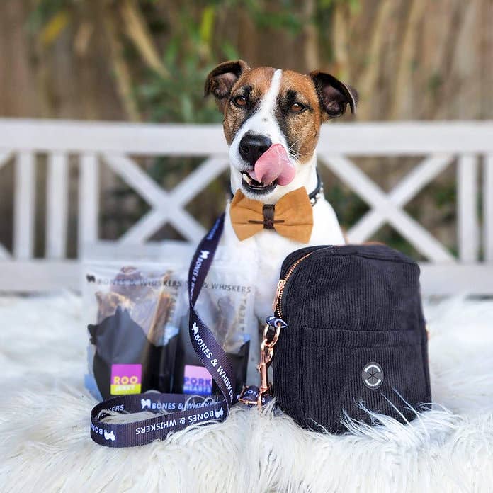 Bones & Whiskers - Wholesale Pet treat pouch – Cat/dog - Travel Pet Pouch3