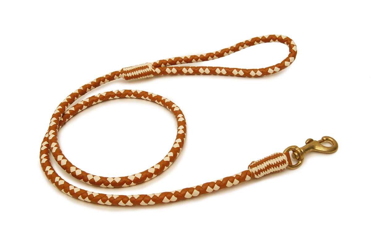 Alvalley - Wholesale Pet Leash - Dog - Braided Leather Snap Leads112