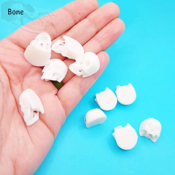 The Scale Grail - Wholesale Decorative figurine - Human skulls with Flat Back, 1:12 scale human craniums for horror dioramas, terrariums, dollhouse, arts and crafts accessories (5 skulls)4