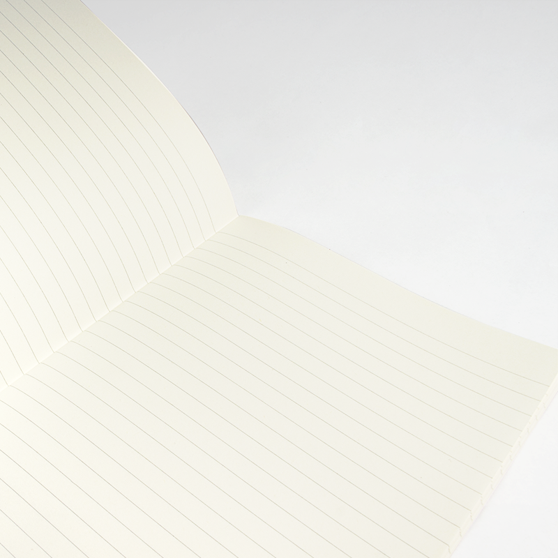 Hadron Epoch Design Studio - Wholesale Notebook - Large Terrarium Notebook 3/SET2