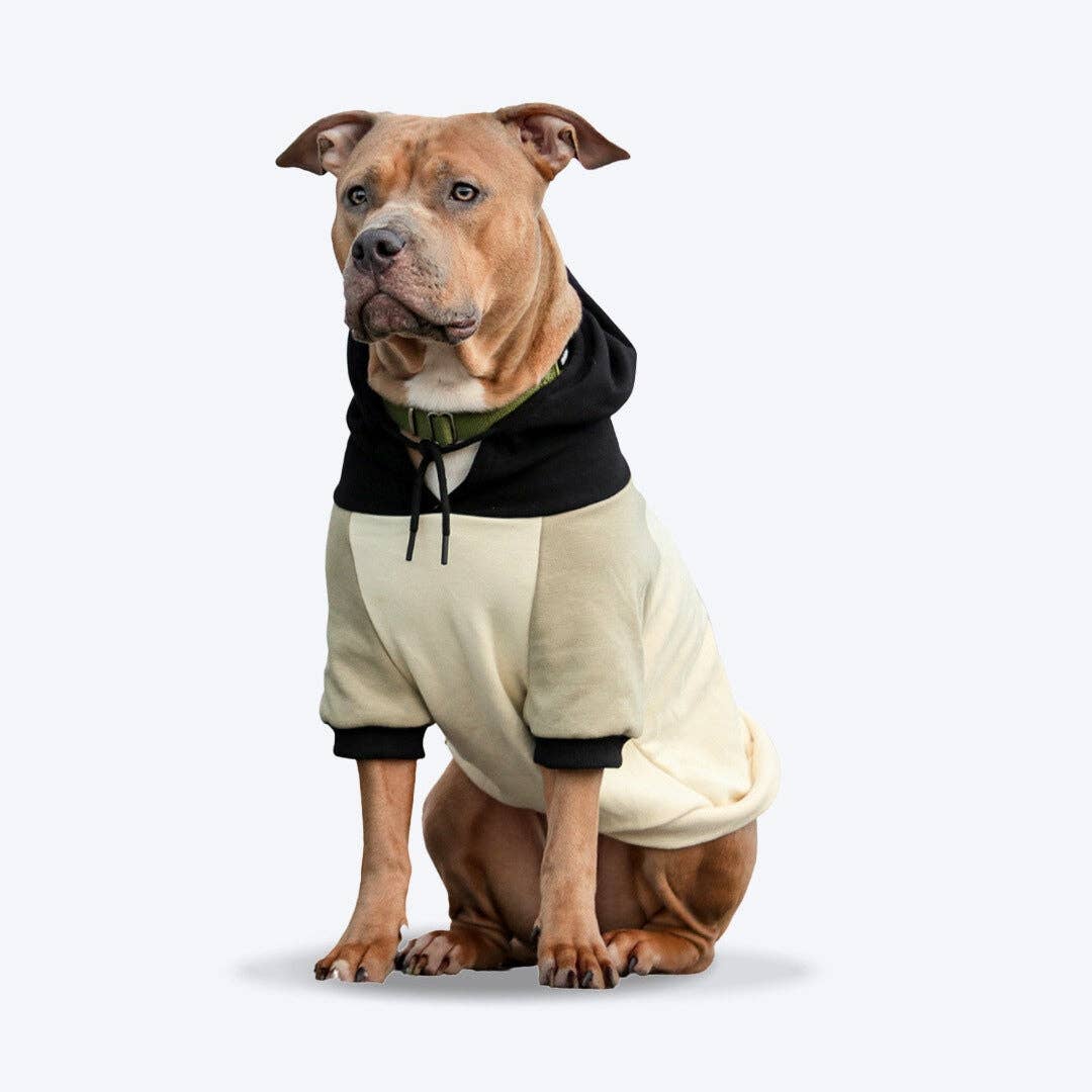 Spark Paws - Wholesale Pet Hoodie - Dog - Olive Cream Dog Hoodie1