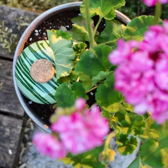 Poterie lutton - Vente Arrosoirs - Ollas Galet 15 cl – Arrosage autonome et stylé14