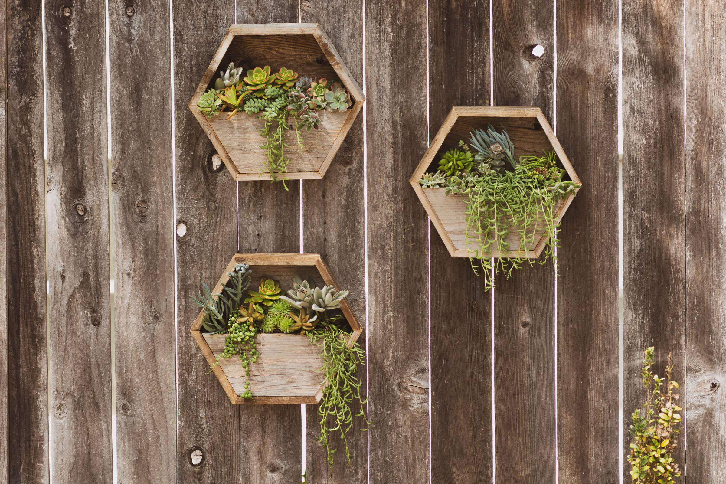 Love Reclaimed - Wholesale Plantenbak voor aan de muur - Reclaimed houten hexagonale plantenbak / geometrische wandplantbak4
