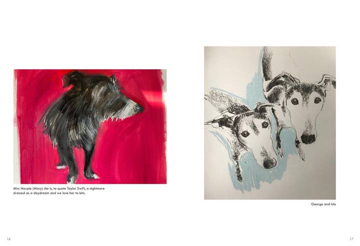 HarperCollins - Wholesale Pet Book - Rescue Dogs: Sally Muir1