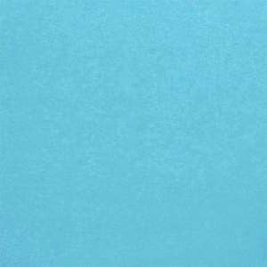 Wholesale Blue Tissue - Solid for your store - Faire