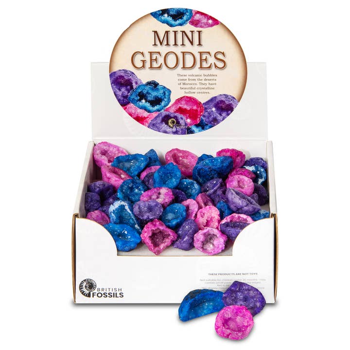 British Fossils - Vendita all'ingrosso Pietra/cristallo spirituale - Mini geodi misti