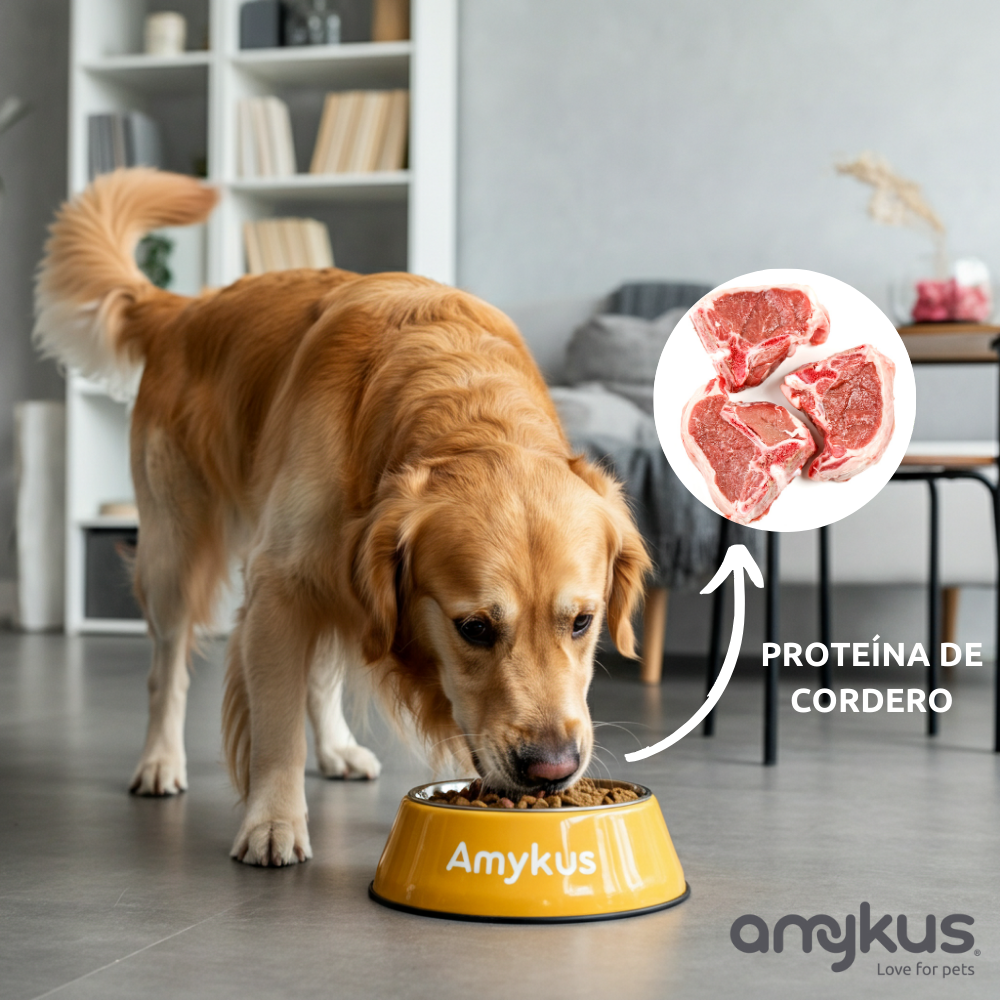 Amykus – wholesale Pet food – Dog – Amykus Original Lamb & Rice - Lamb food for dogs4