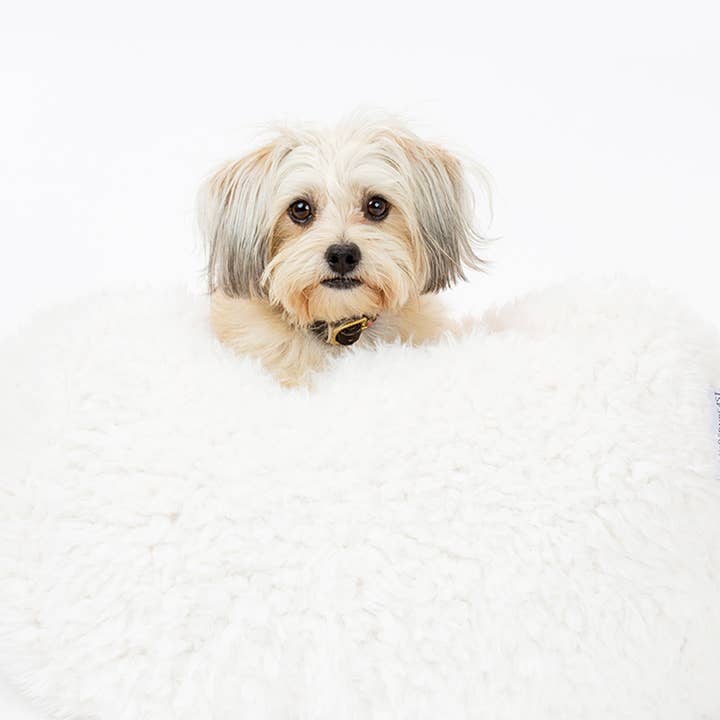 MODERNBEAST - Wholesale Pet bed – Cat/dog - MB POD BED (Options Available)5