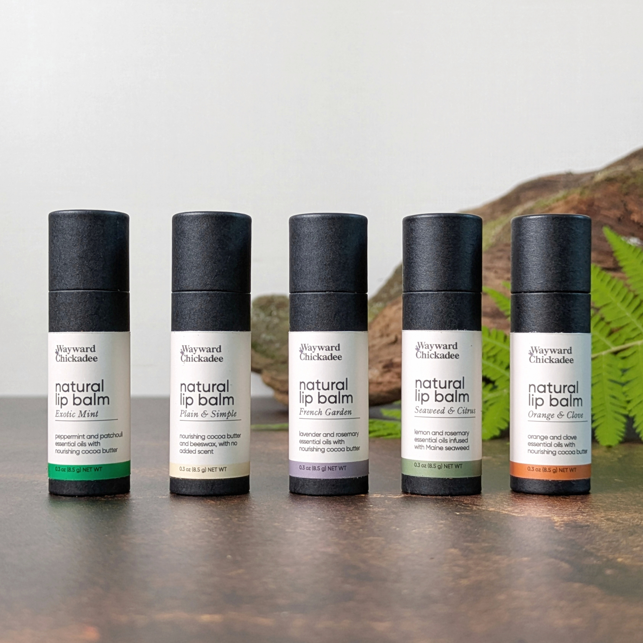 Wayward Chickadee - Vente Baumes à lèvres - Baume à lèvres aux algues et aux agrumes3
