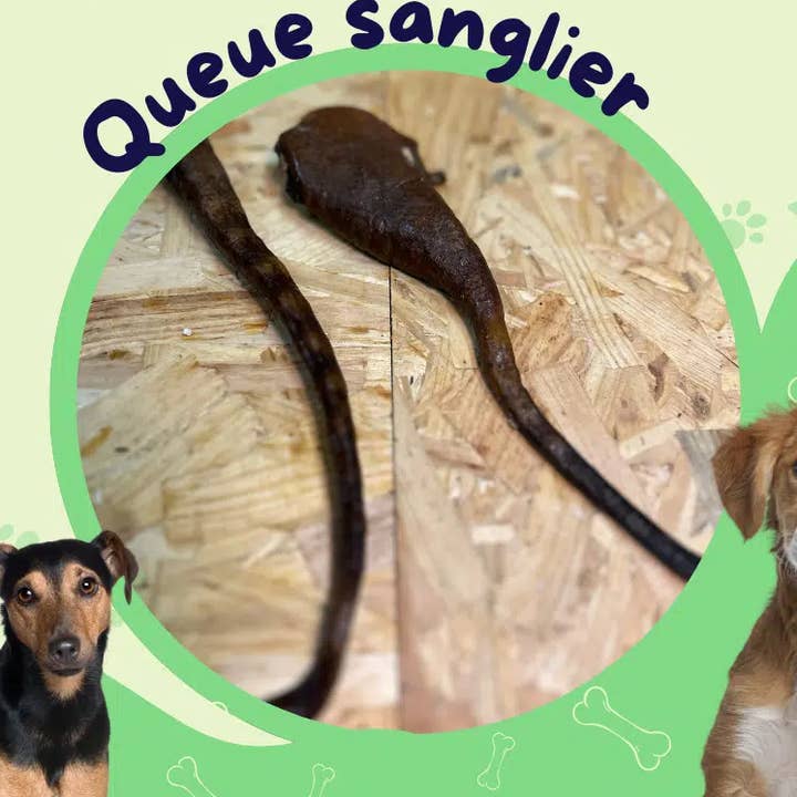 cauda de javali 1kg / Guloseima para cão por atacado de JF animalerie