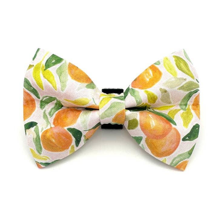 Clementine Orange Dog Bow Tie for wholesale by Winthrop Clothing Co.