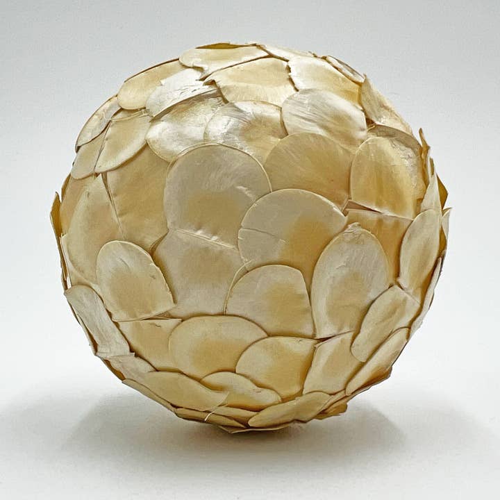 2626 Designs - Wholesale Artificial Plant - Box of 4 Preserved Decorative Conifer Pinecone Topiary Balls