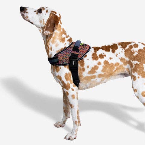 Zee.Dog - Wholesale Pet Harness - Dog - Vortex | FlyHarness6