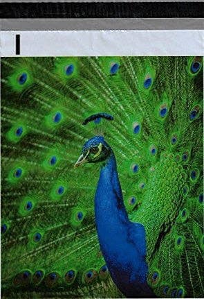 PLT Wholesale - Wholesale Envelopes - 10x13 Poly Mailers-Flat (Single)68