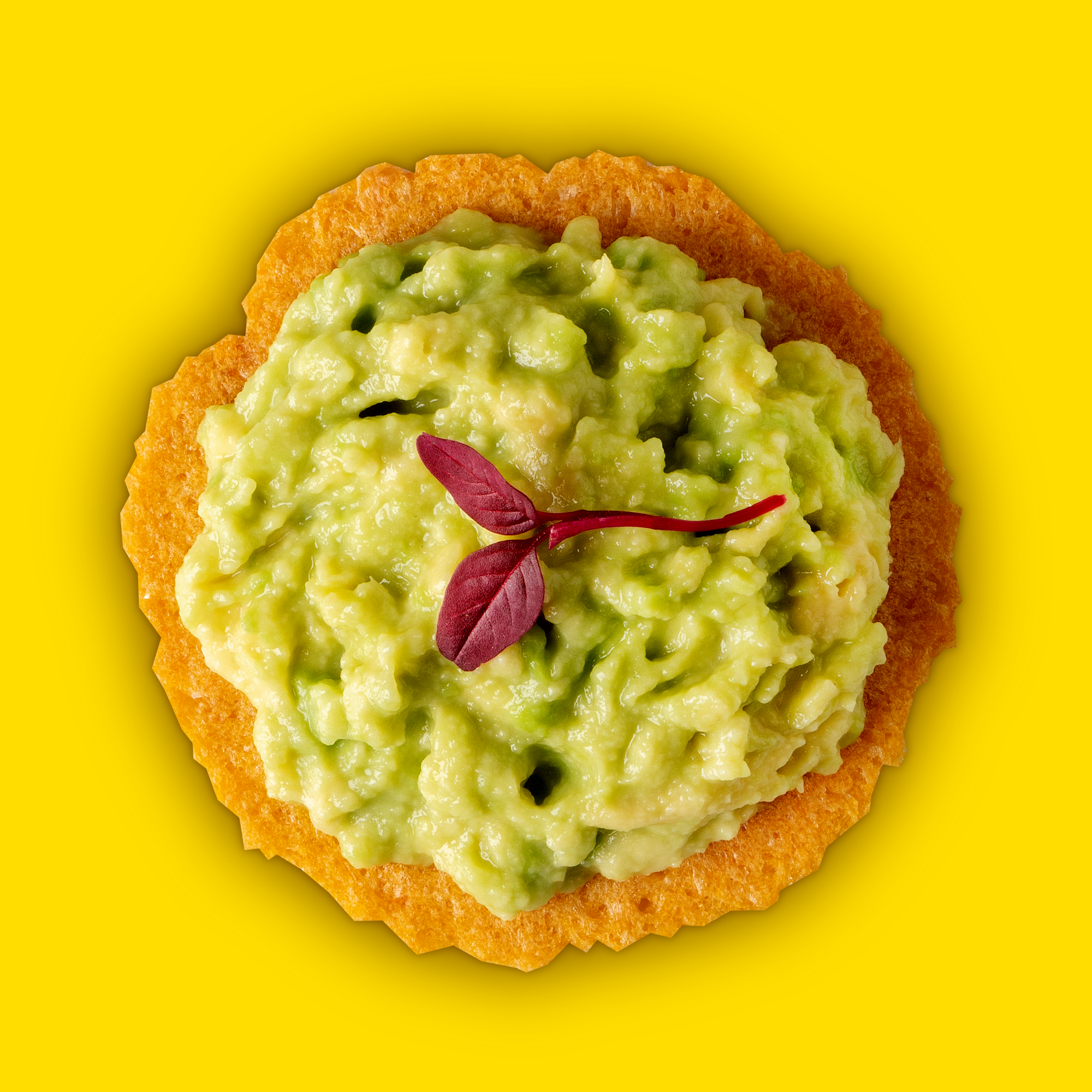 Craize Snacks, INC - Wholesale Crackers - Sweet Toasted Corn Crackers 4oz4