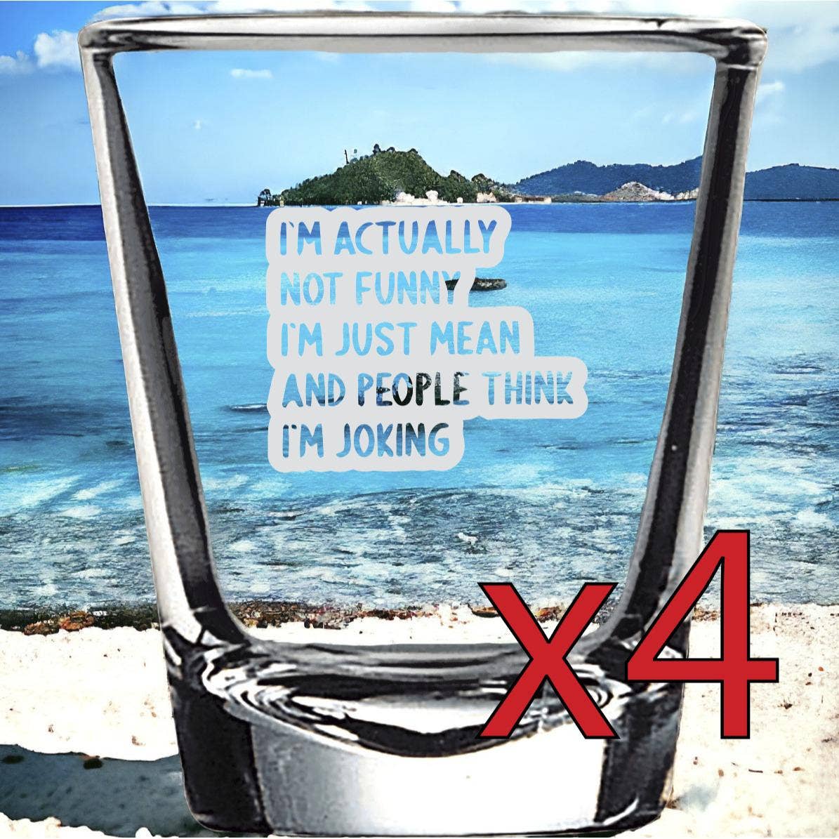 Texan Customs - Wholesale Shot Glass - Not Funny Just Mean 2oz Customizable Shot Glasses0