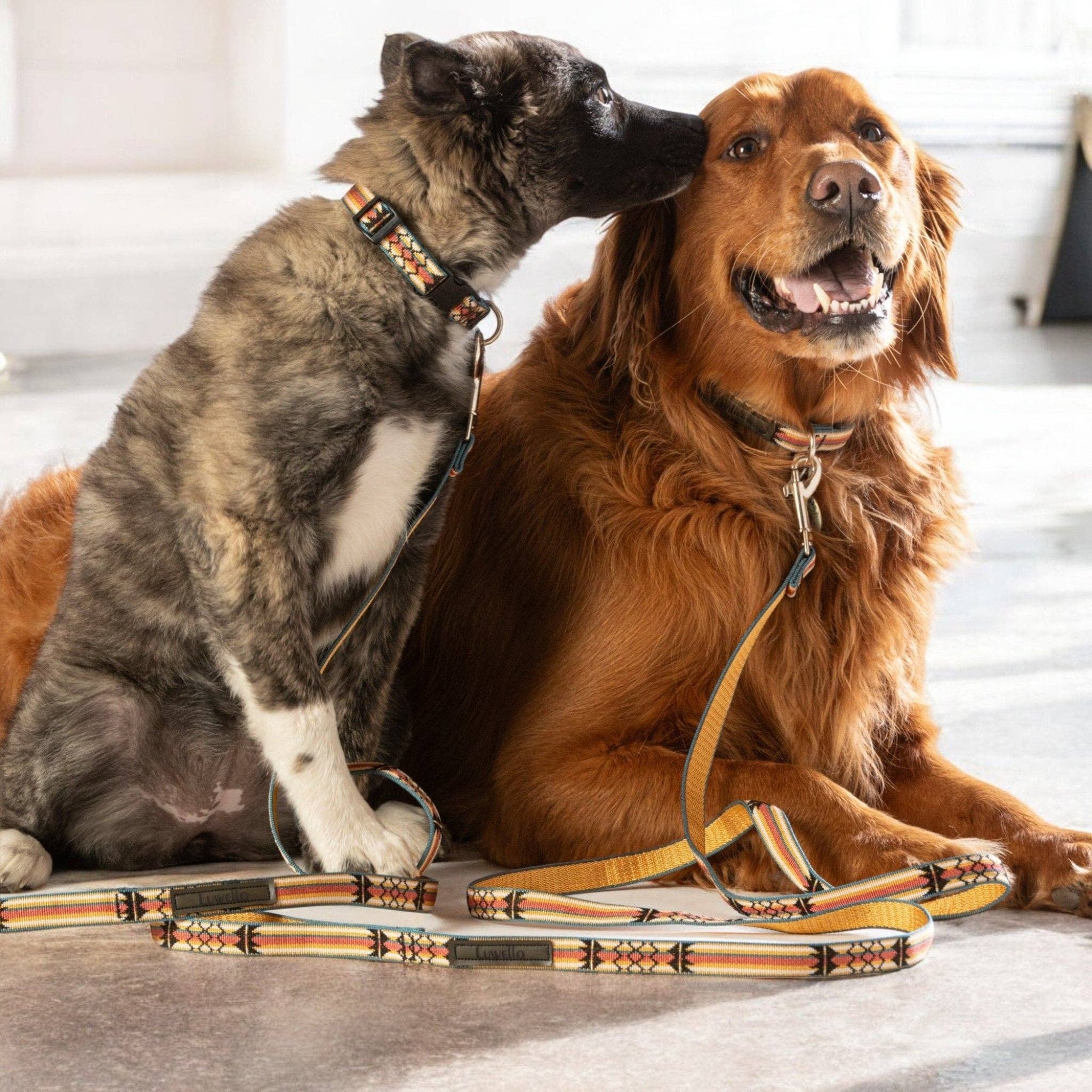 LUWELLO, LLC - Wholesale Pet Leash - Dog - Classic Dog Leash 3/4''2