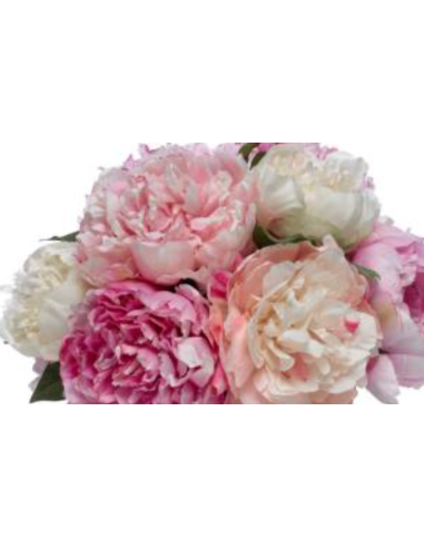 Florasource - Wholesale Fresh Cut Flowers - Assorted Peonies 100 stems0