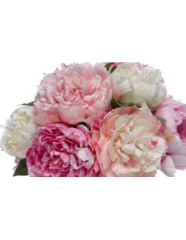 Florasource - Wholesale Fresh Cut Flowers - Assorted Peonies 100 stems