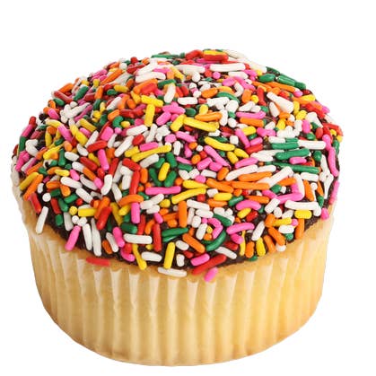 Jumbo cupcake for engroshandel hos Reisman's Bakery