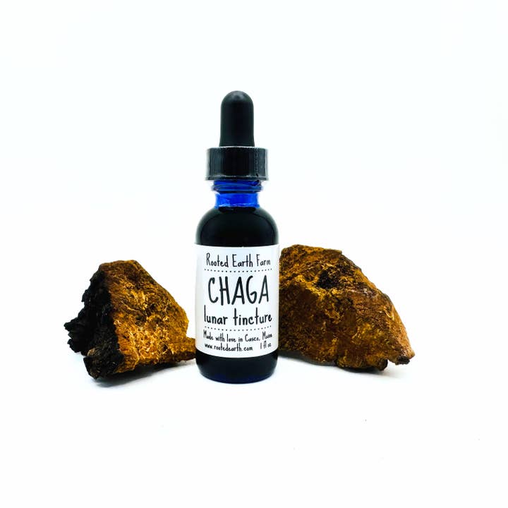 Rooted Earth Farm + Apothecary - Wholesale Tincture - Maine Chaga Tincture - 2 Size Options