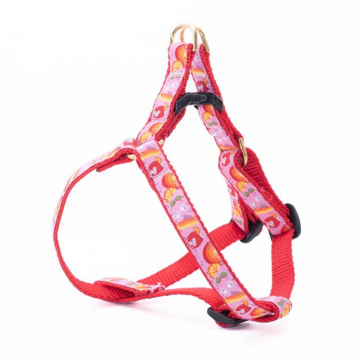 Spritz Small Breed Dog Harness for wholesale by Up Country, Inc.
