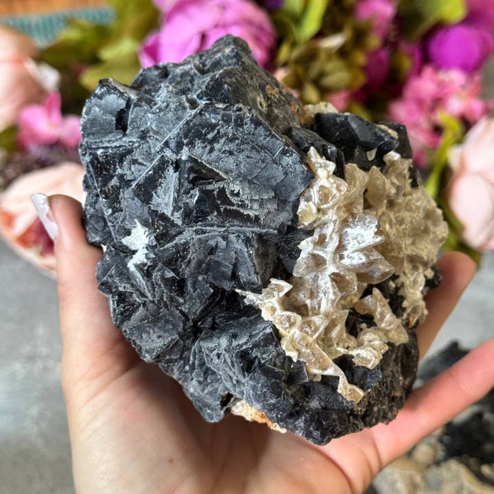 Mandala Gems - Wholesale Spiritual Stone/Crystal - Huge Black Rose Fluorite Specimens, Rare Fluorite, Fluoresce Red or Pink