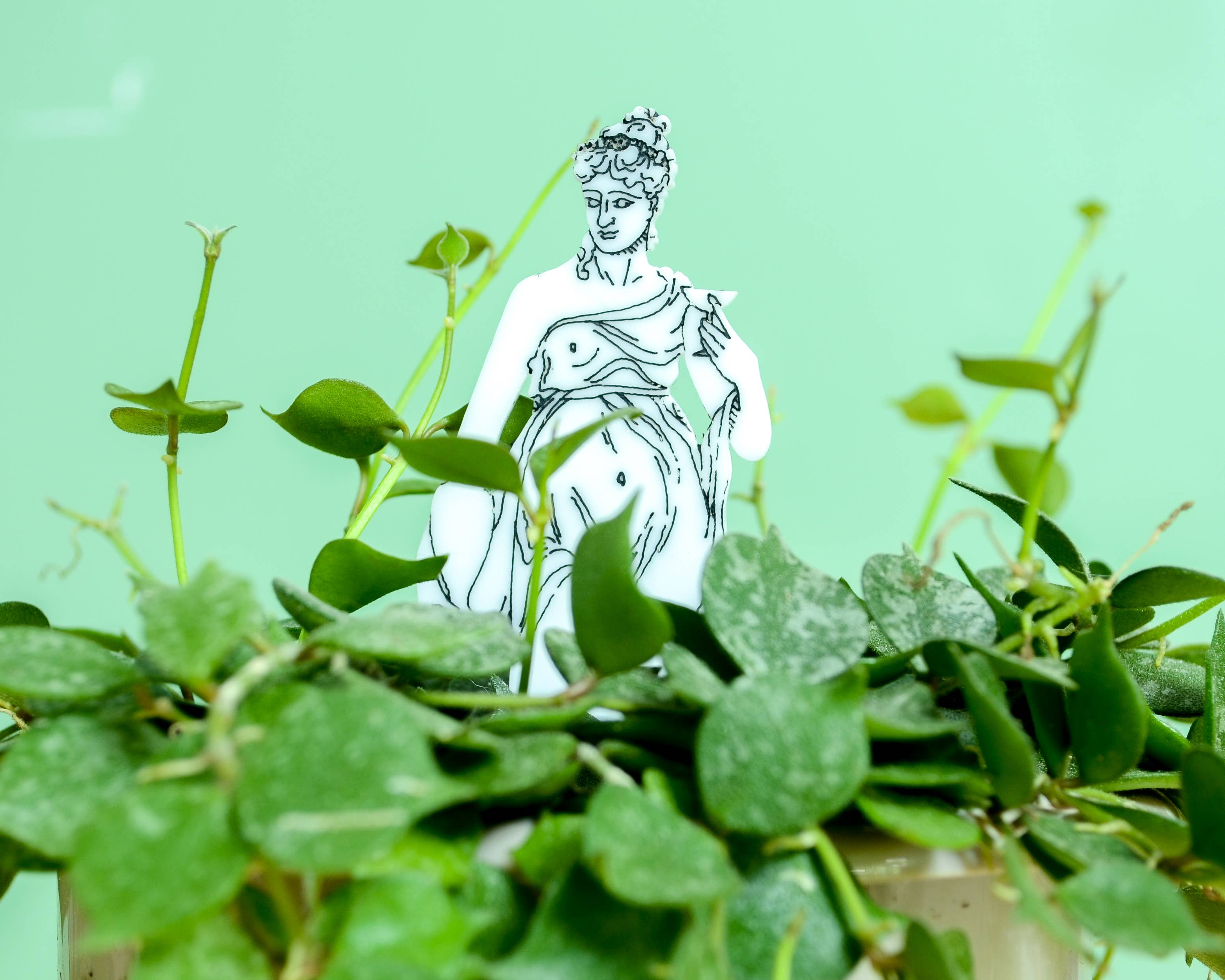 Button and Fern - Wholesale Garden/Lawn Stake - Classical Statue Plant Stakes Set - 5 Acrylic Garden Markers5