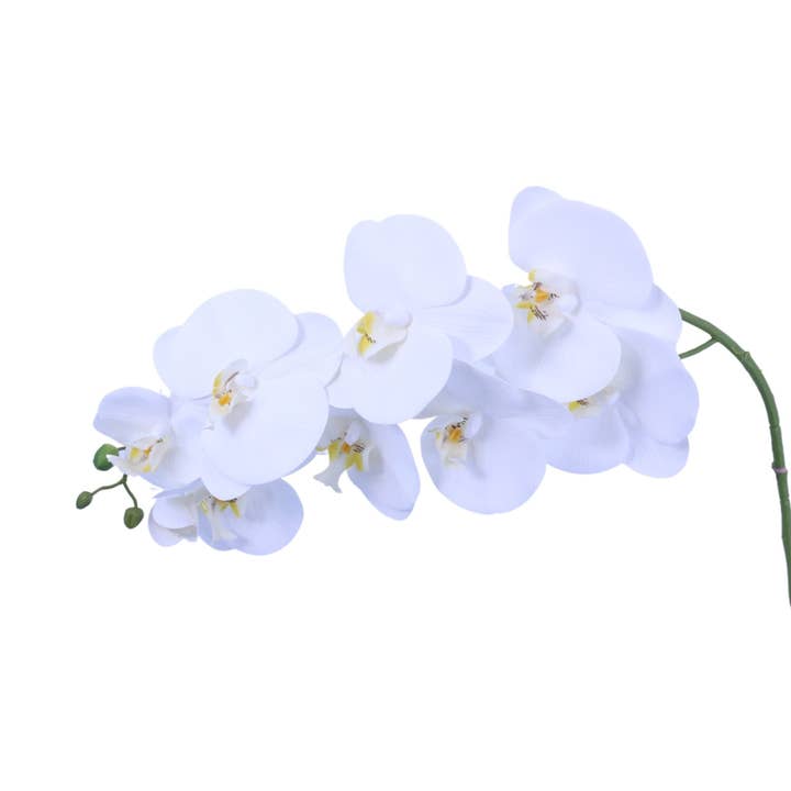 Green Import Limited - Wholesale Artificial Flowers - FL11791 PHALAENOPSIS SPx9F(NAT. TOUCH),46in3