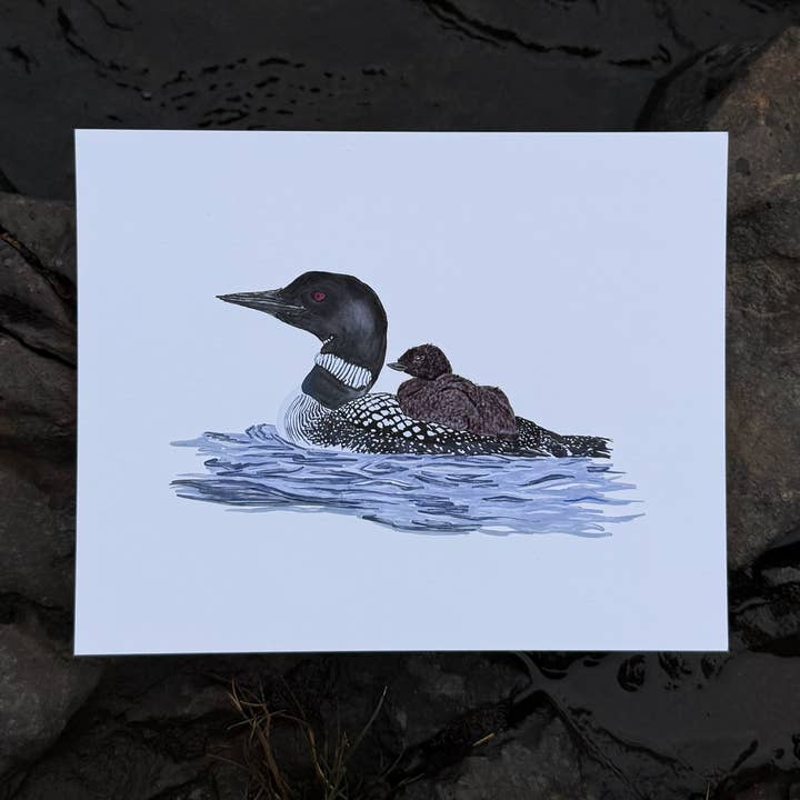 Loon and Chick on Water Fine Art Print for wholesale by Tidal and Timber Studio