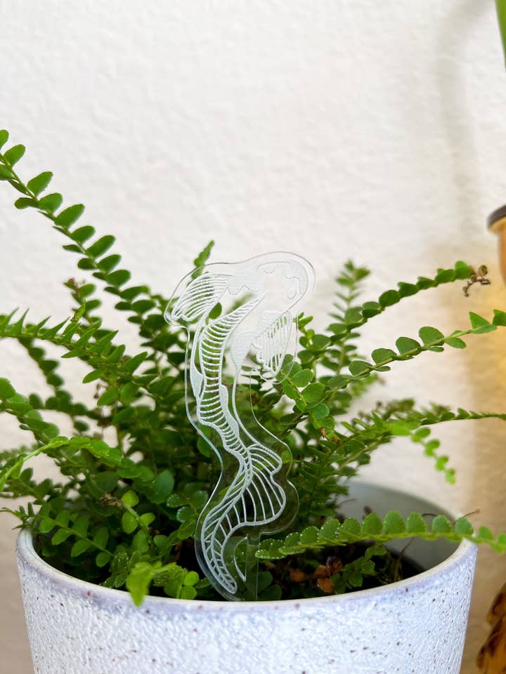 Koi fiskeplante stav for engroshandel hos Radicalsummer