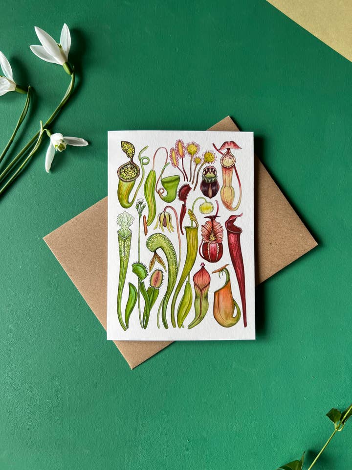 Carnivorous Plants , Blank Greeting Card for wholesale by Tansy Moore