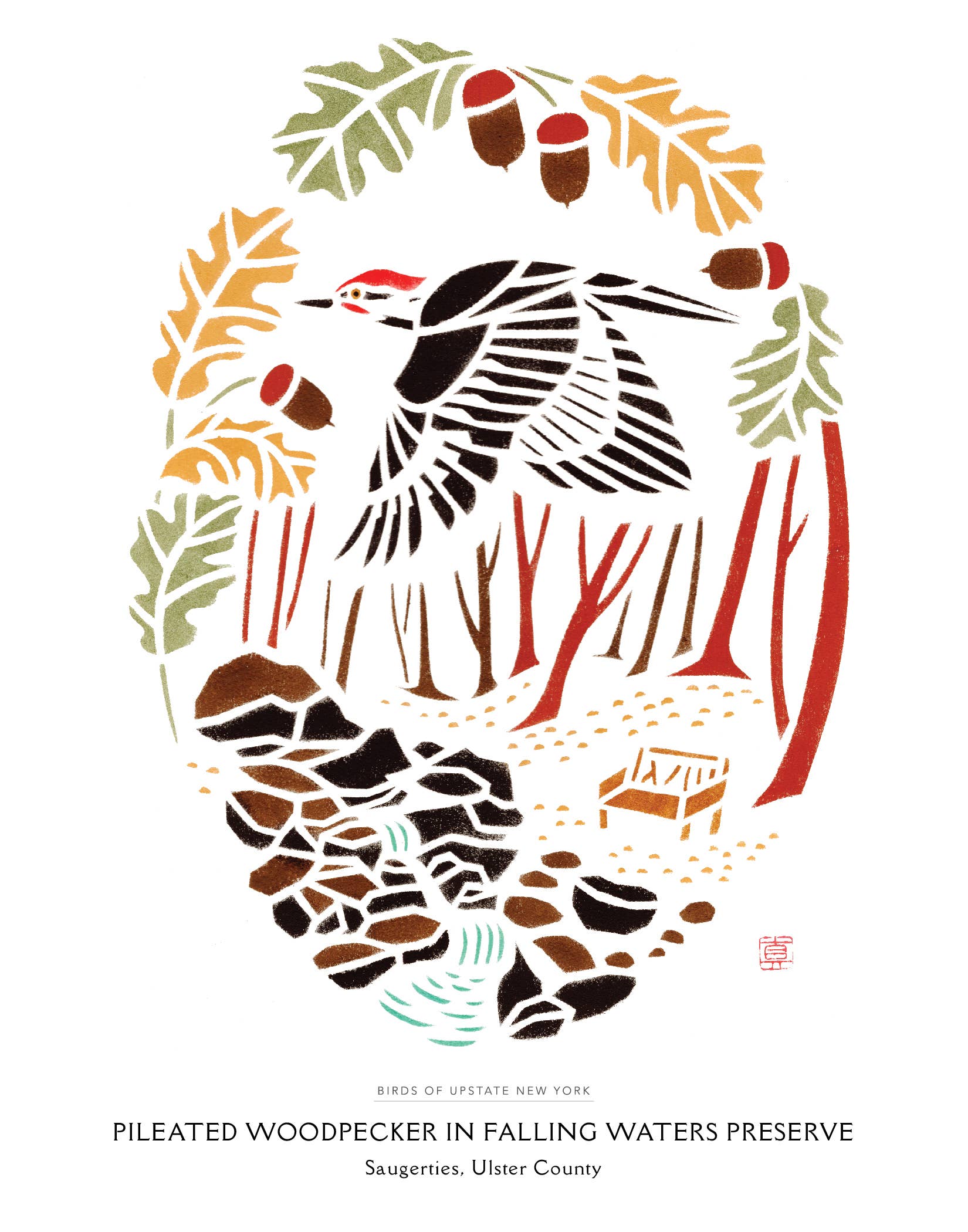 Mayuko Fujino Bird & Nature Art - Wholesale Art Print - Art print: Pileated Woodpecker in Falling Waters Preserve1