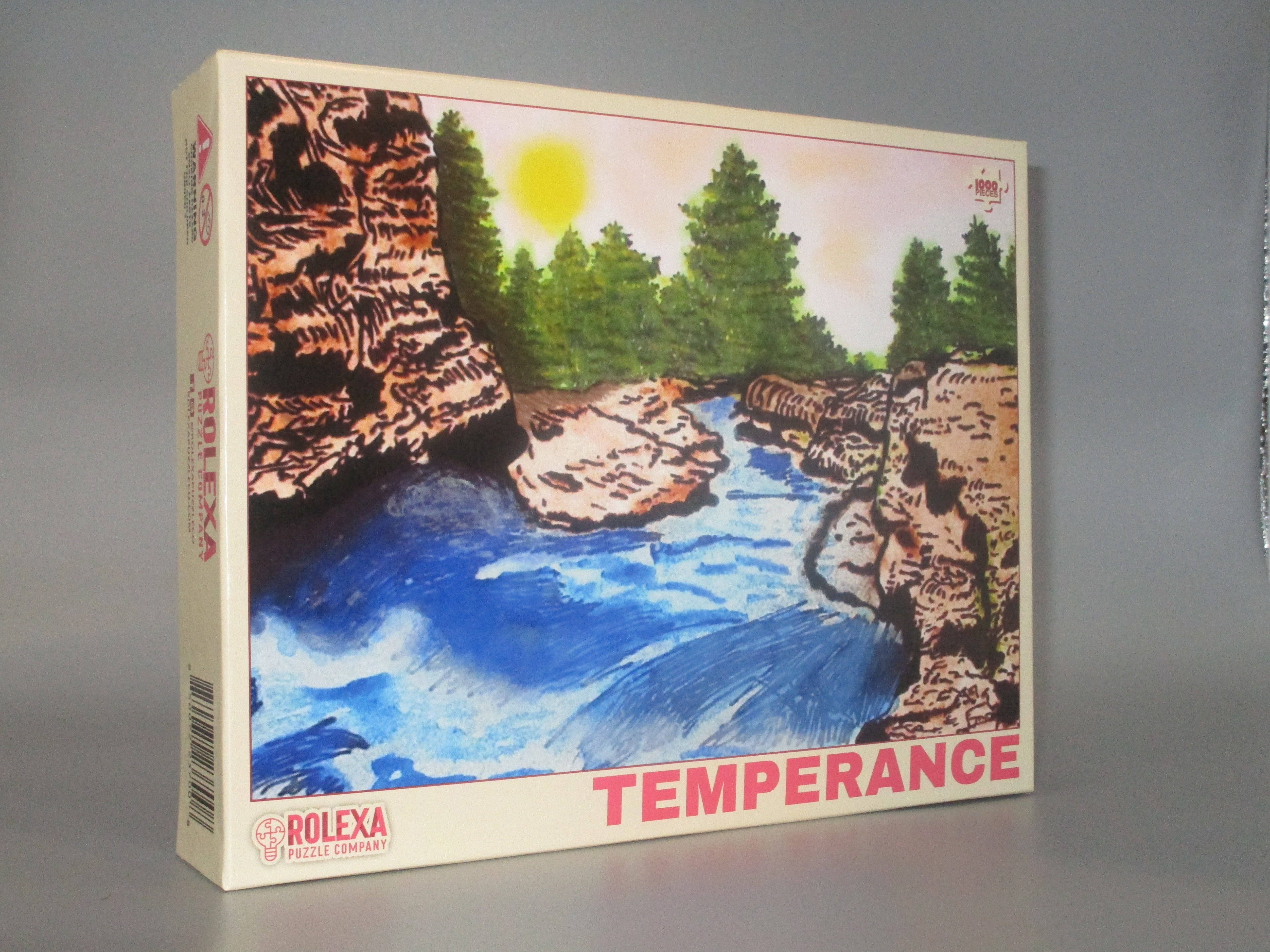 Rolexa Puzzle Company – wholesale Puzzle – Adult – "Temperance" puzzle2