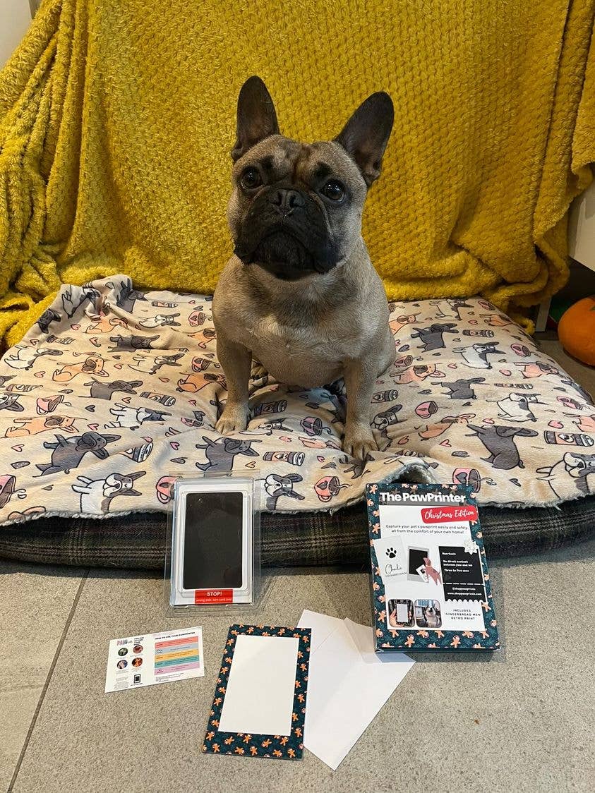 Paw Prints – wholesale DIY craft kit – Pet Paw Print Kits: Cats, Dogs, Puppy, Guinea Pig, Rabbit3