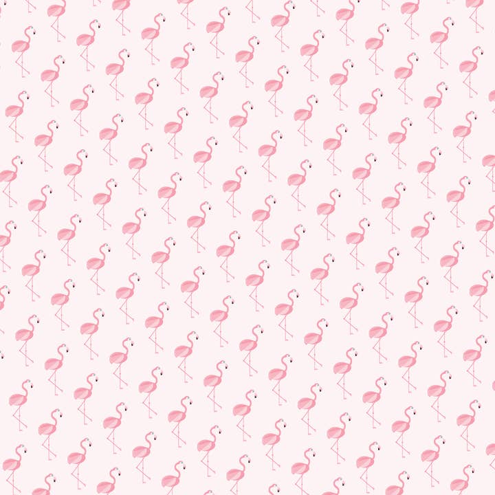 Flamingo omslagspapper för wholesale av Cloud Cuckoo Design