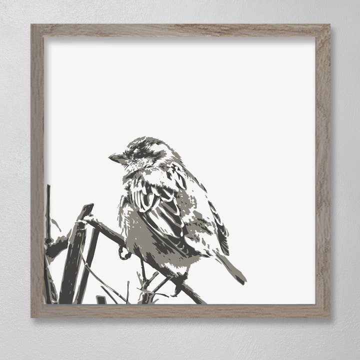 Big Bird for wholesale by seven4one Industries